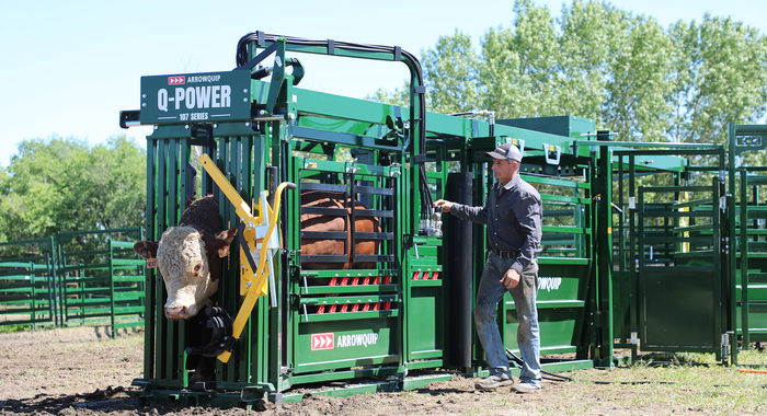 New Arrowquip crush range raises the bar for cattle handling | Farm ...